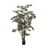 Kunstplant Ficus 213cm silk-ka