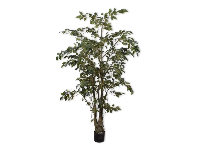 Kunstplant Ficus 213cm silk-ka