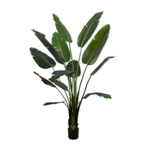 Kunstplant Strelitzia 183cm silk-ka