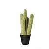 66216444 ASA kunstplant Cactus cleisto cactus 39 cm