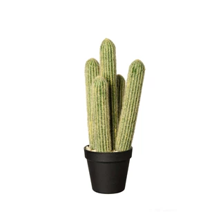 66216444 ASA kunstplant Cactus cleisto cactus 39 cm