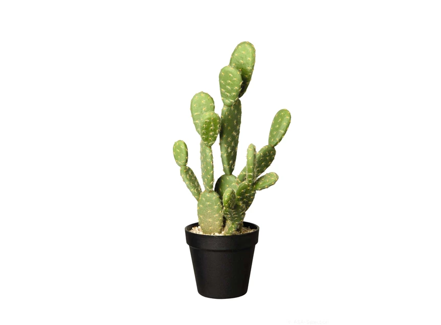 66214444 ASA Kunstplant Cactus Opuntia Ficus 41cm