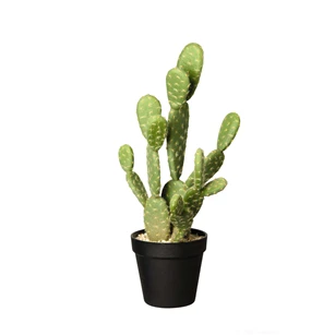 66214444 ASA Kunstplant Cactus Opuntia Ficus 41cm