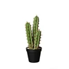 66213444 ASA kunstplant cactus pachycereus pringli