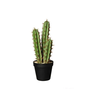 66213444 ASA kunstplant cactus pachycereus pringli