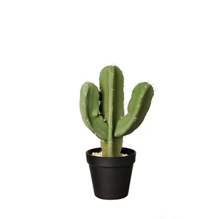 66212444 ASA Kunstplant Cactus Euphorbia Ingens