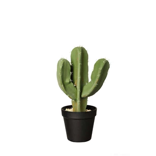 66212444 ASA Kunstplant Cactus Euphorbia Ingens