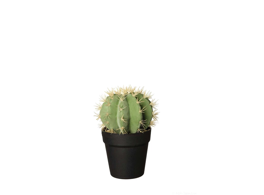 66211444 kunstplant cactus H25,5cm