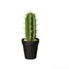 66202444 ASA Kunstplant Cactus Euphorbia Ingens 26cm