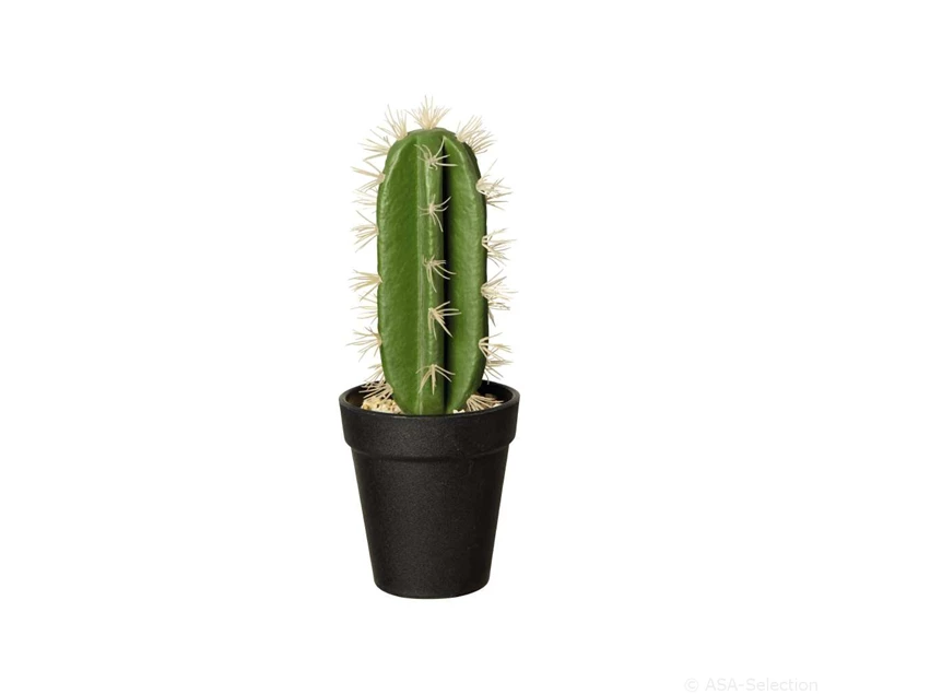 66202444 ASA Kunstplant Cactus Euphorbia Ingens 26cm