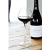 345070 vin rouge wine glass wijnglas gevuld