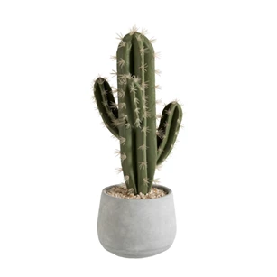 80452 Jolipa J-Line Kunststof Cactus in cement pot