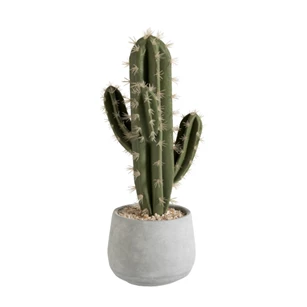 80452 Jolipa J-Line Kunststof Cactus in cement pot
