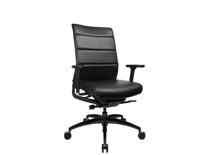 Wagner ergomedic 100 4 E41BDV60 desk chair