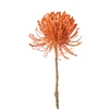 Leucospermum plastiek oranje L - close-up