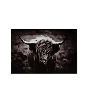 Wanddeco buffel- getemperd glas- zwart- 28789