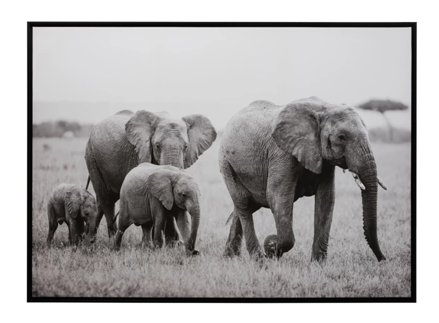 Kader olifanten- hout/papier- zwart/wit- 92415
