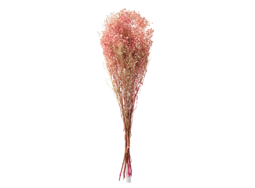 Bundel gypsophilia- gedroogd- roze- 12370