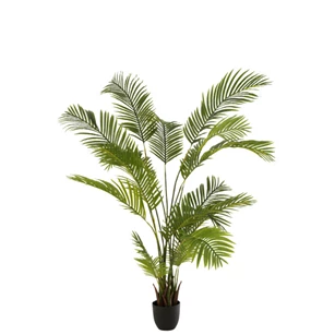 Chrysalidocarpus in pot- plastiek- groen- 12532 