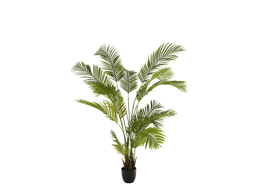 Chrysalidocarpus in pot- plastiek- groen- 12532 