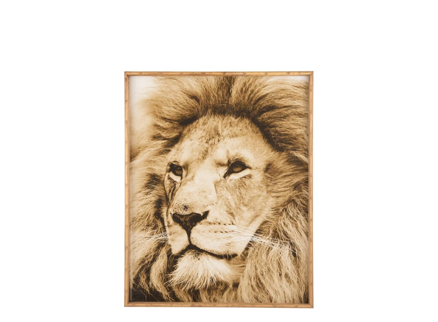 Wanddecoratie leeuw- hout/glas- bruin- 18519