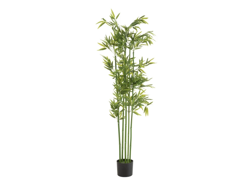 Bamboe in pot- plastiek- groen- large- 22018