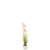 Allium in pot- plastiek- groen/roze- smal- 33033
