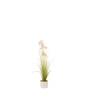 Allium in pot- plastiek- groen/roze- smal- 33033