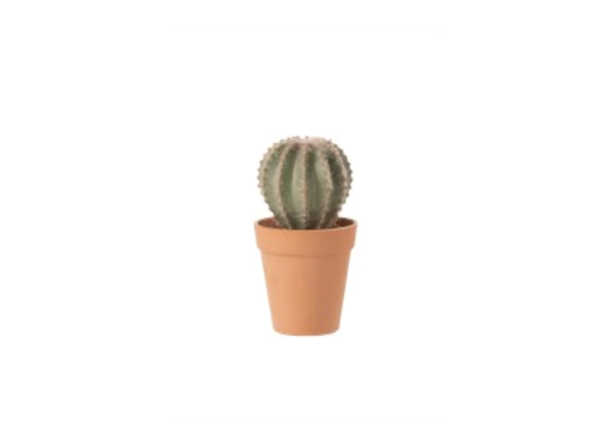 4114 J-Line Jolipa Kunstplant Cactus in pot Ø10cm H18cm