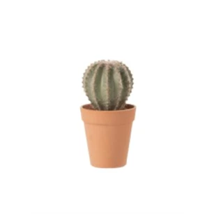 4114 J-Line Jolipa Kunstplant Cactus in pot Ø10cm H18cm