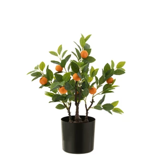 Sinaasappelboom in pot- kunststof- oranje/groen- smal 