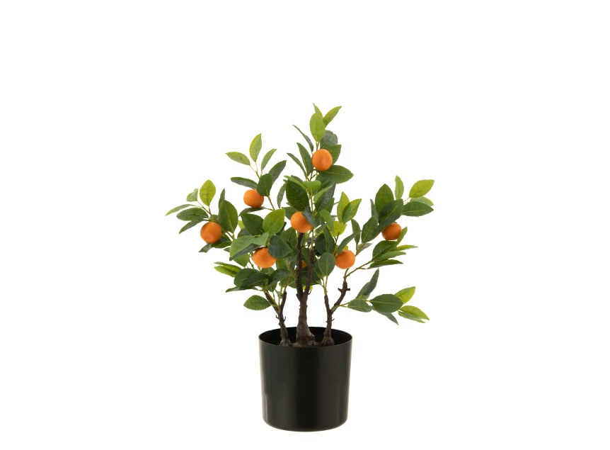 Sinaasappelboom in pot- kunststof- oranje/groen- smal 