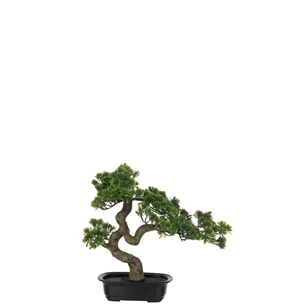 Podocarpus Bonsai- Kunststof- Groen- Smal