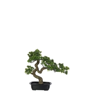 Podocarpus Bonsai- Kunststof- Groen- Smal