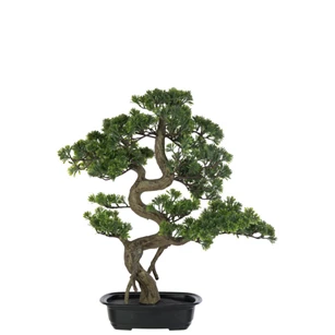Podocarpus Bonsai- Kunststof- Groen- Large