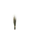 Grassen In Bundel Plastiek Groen Small (64cm)