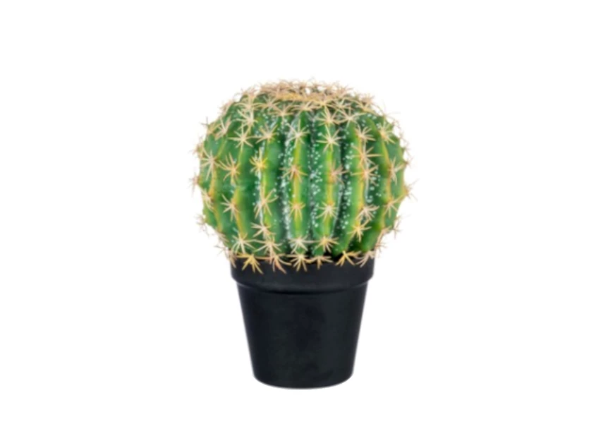 72008 J-Line Jolipa Kunstplant Cactus in pot Ø19cm H24cm
