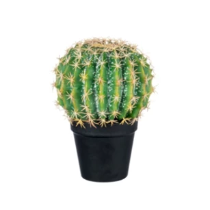 72008 J-Line Jolipa Kunstplant Cactus in pot Ø19cm H24cm