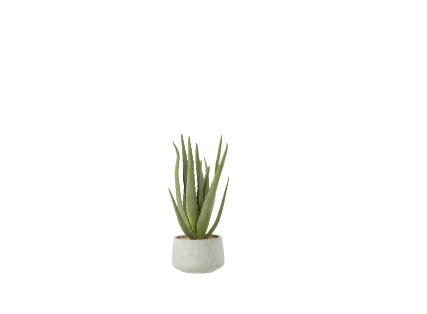 4109 Jolipa J-Line Kunstplant Aloe Vera in grijze pot S