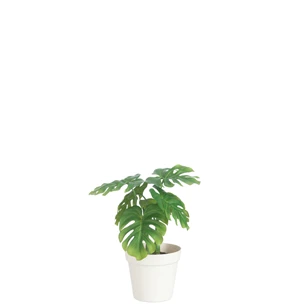 80198 J-line Jolipa Kunstplant Philodendron in Pot M