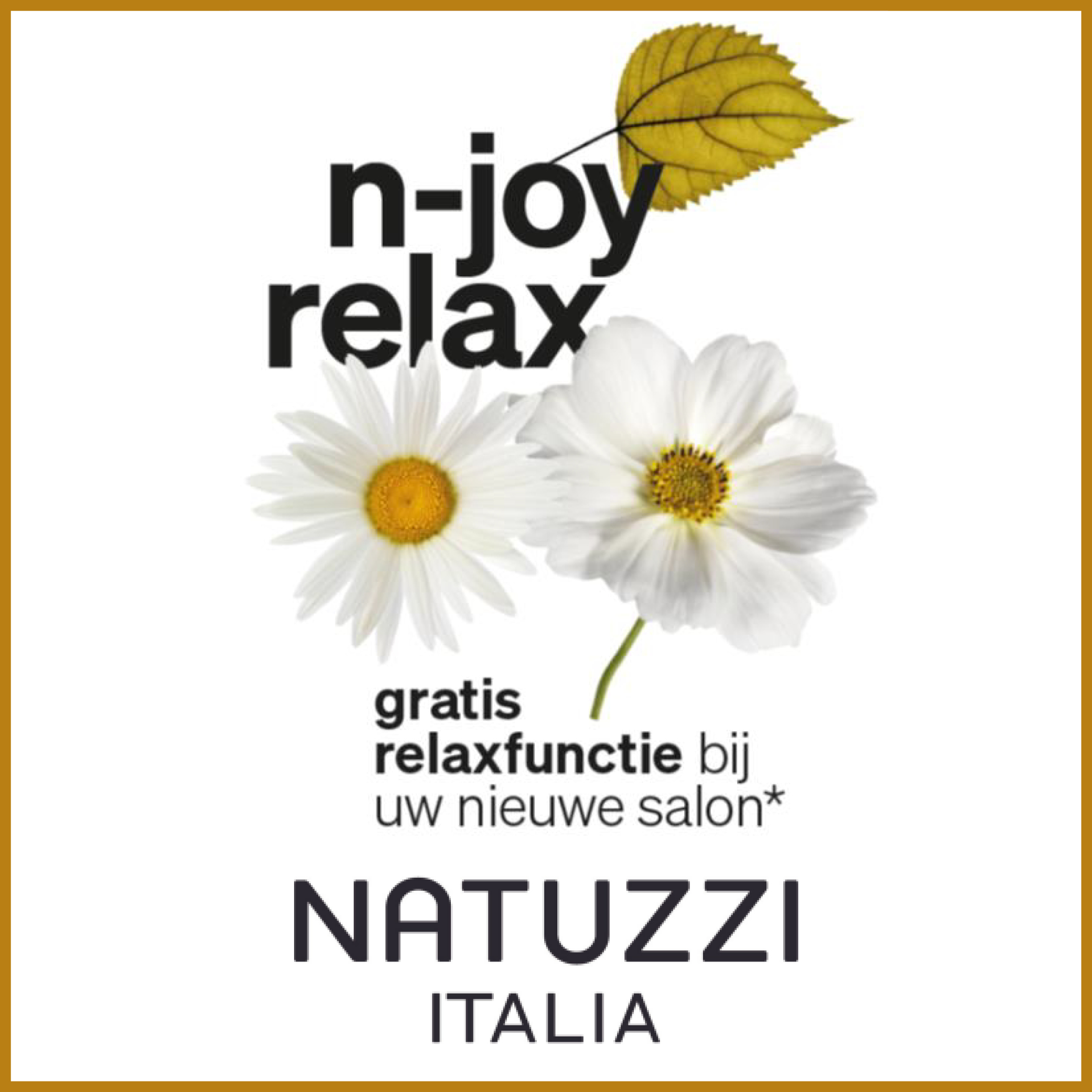 Natuzzi Italia n-joy relax
